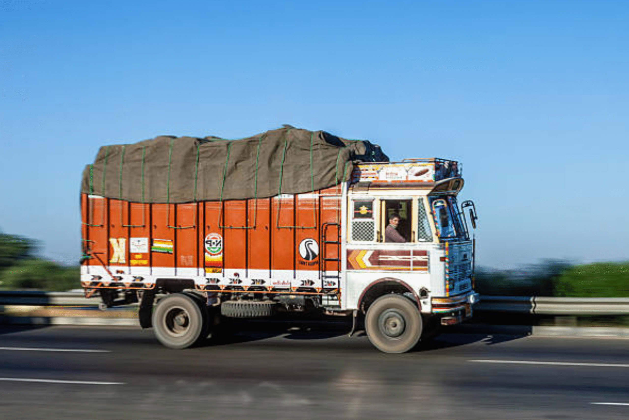 Untitled design (11)